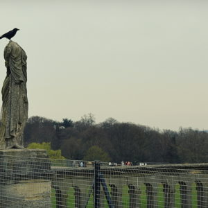 2014 - You've put a crow on its head - London, England